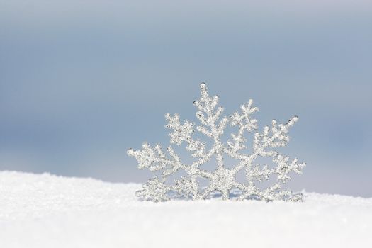snowflake in snow