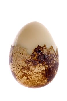 Quail's Egg Isolated