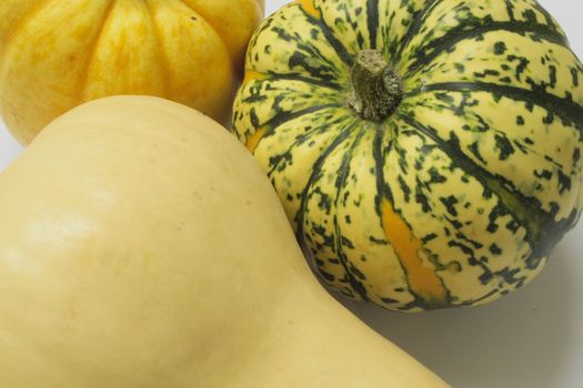 closeup shot of squashes  against a light background