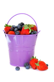 Bucket of Berries