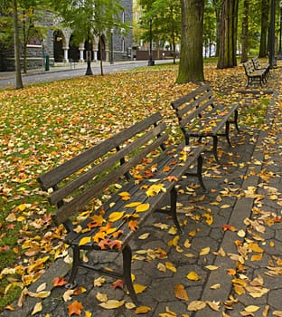 Fall Leaves on Benches Along Park 2