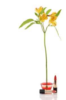 perfume bottle, yellow flower and two red lipstick on white background