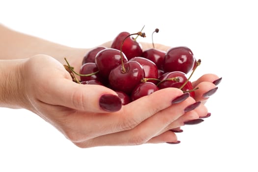 Hands ful of fresh berries