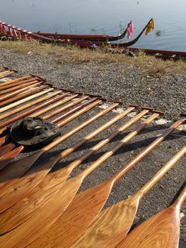 Oars for a dragonboat competition