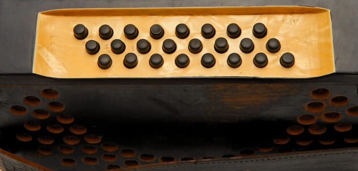 Buttons of vintage 1930s black accordion closeup