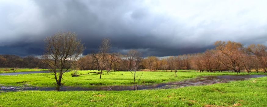 Spring Thunderstorm - Illinois