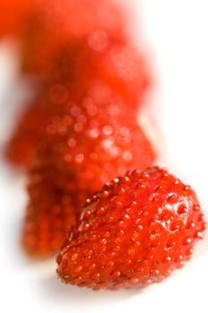 wild strawberries 