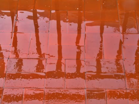 Reflection on pavement in the rain