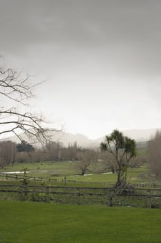 Rainy Day in Rural NZ