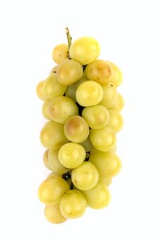 white grapevine