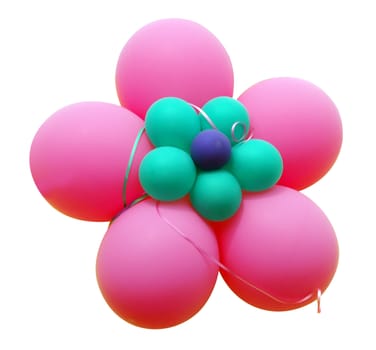 Pink Balloon Flower