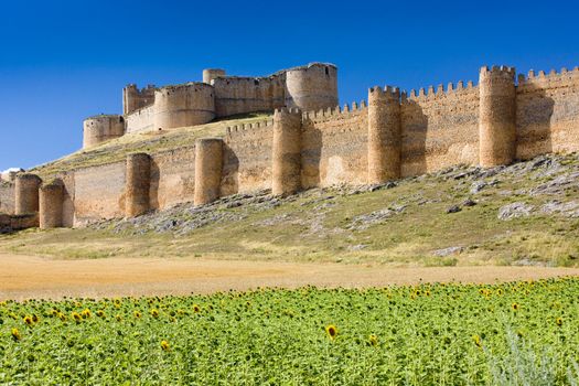 Berlanga de Duero Castle, Soria Province, Castile and Leon, Spai