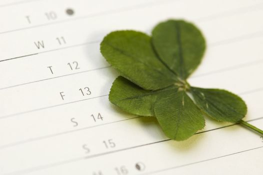 Five Leaf Clover and 13 Friday