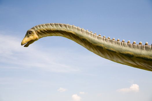 Diplodocus longus neck
