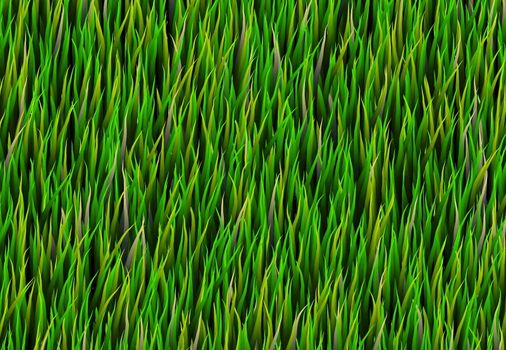 Green Grass Patch Background