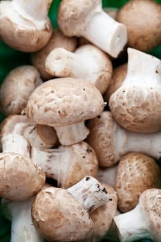 Closed cup chestnut mushrooms