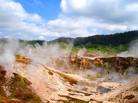 Geothermal Activity of Hell's Gate (between Rotorua and Taupo), 