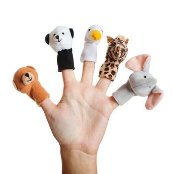 Hand with animal puppets
