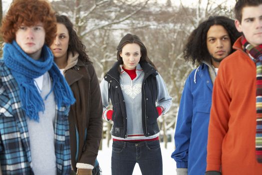 Group Of Teenage Friends Having Fun In Snowy Landscape Wearing S