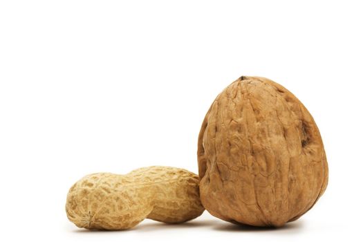 peanut and a walnut