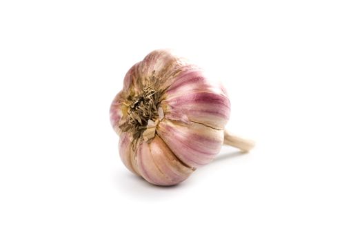 head of garlic 