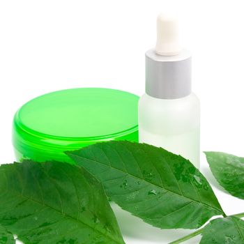 cosmetic products with green leaf 