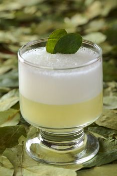 Peruvian Cocktail Called Coca Sour