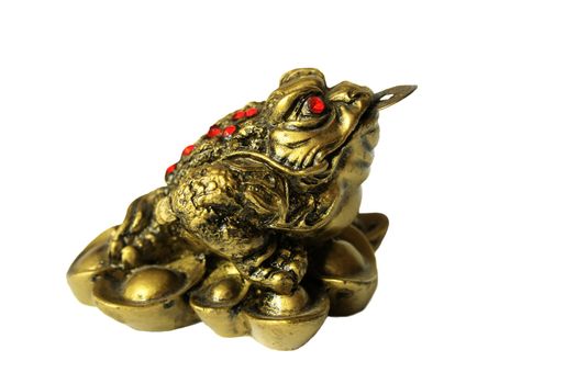 Fen Sui lucky money frog for good luck and riches