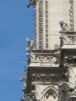 Notre Dame de Paris close-up