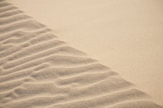 sand of dune texture