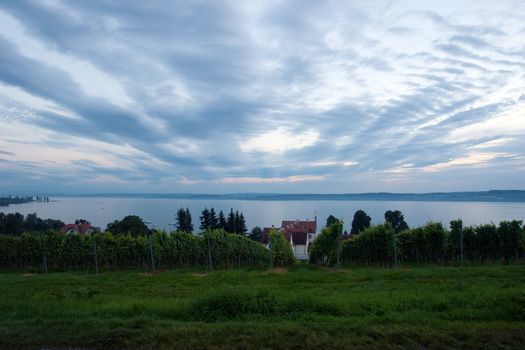 The Meersburg vineyards at the northern banks of Lake Constance