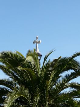 Palm and crucifix