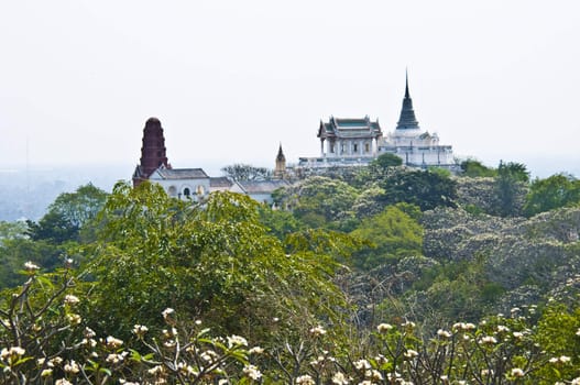 View of the King's palace 