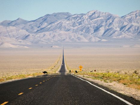 Extraterrestrial Highway, Nevada