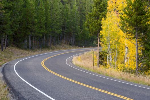 Bend in a scenic road, autumn aspen and pine trees, Grand Teton National Park, Wyoming, USA