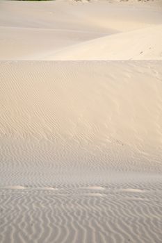 footsteps on great sand dune