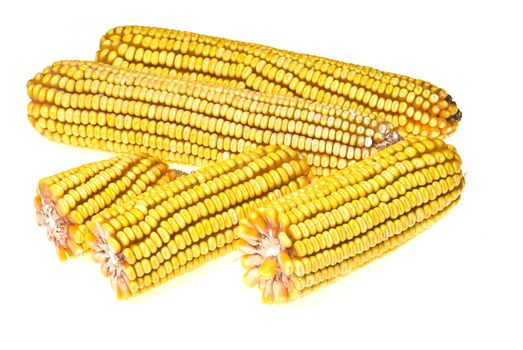Corn Corncob