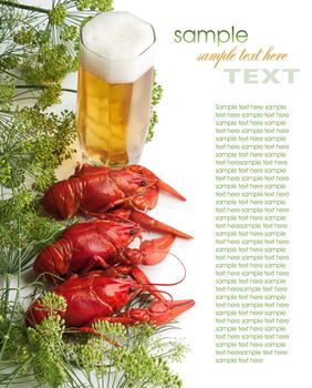 Boiled crayfish with dill 