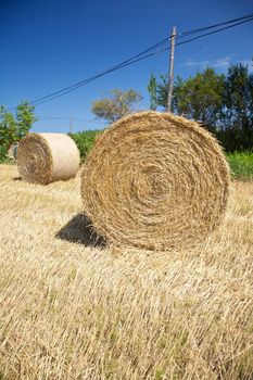 hay circle