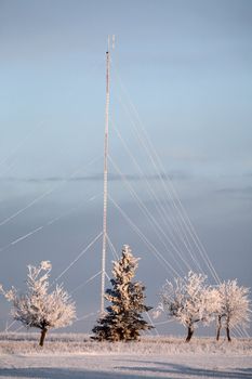 Frost covered trees and tower