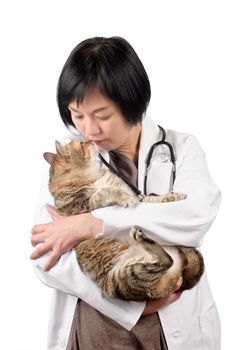 Animal doctor kiss cat