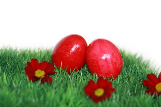 Red Easter eggs and red flowers 