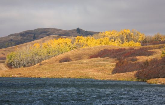 Reesor Lake Alberta in fall