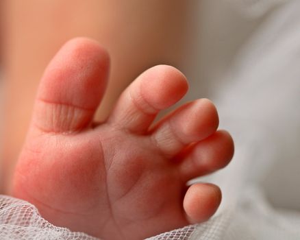 Baby's feet photographed by McMaster Studio in Moose Jaw
