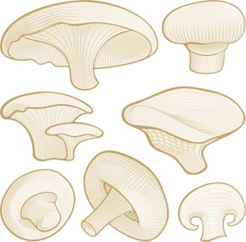 Woodcut mushrooms