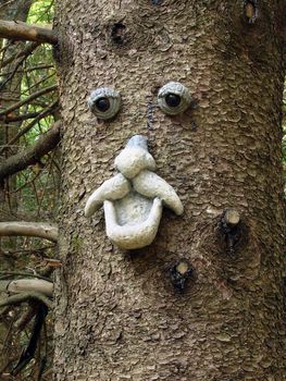 Face in a tree 11