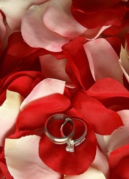 Wedding rings on rose petals
