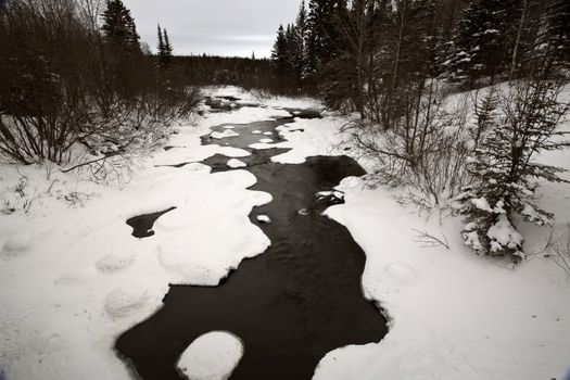 Woody River in winter
