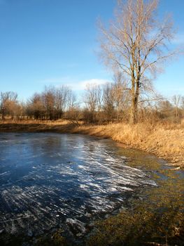 Midwest Pond Landscape