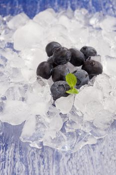 Blueberries on Ice
